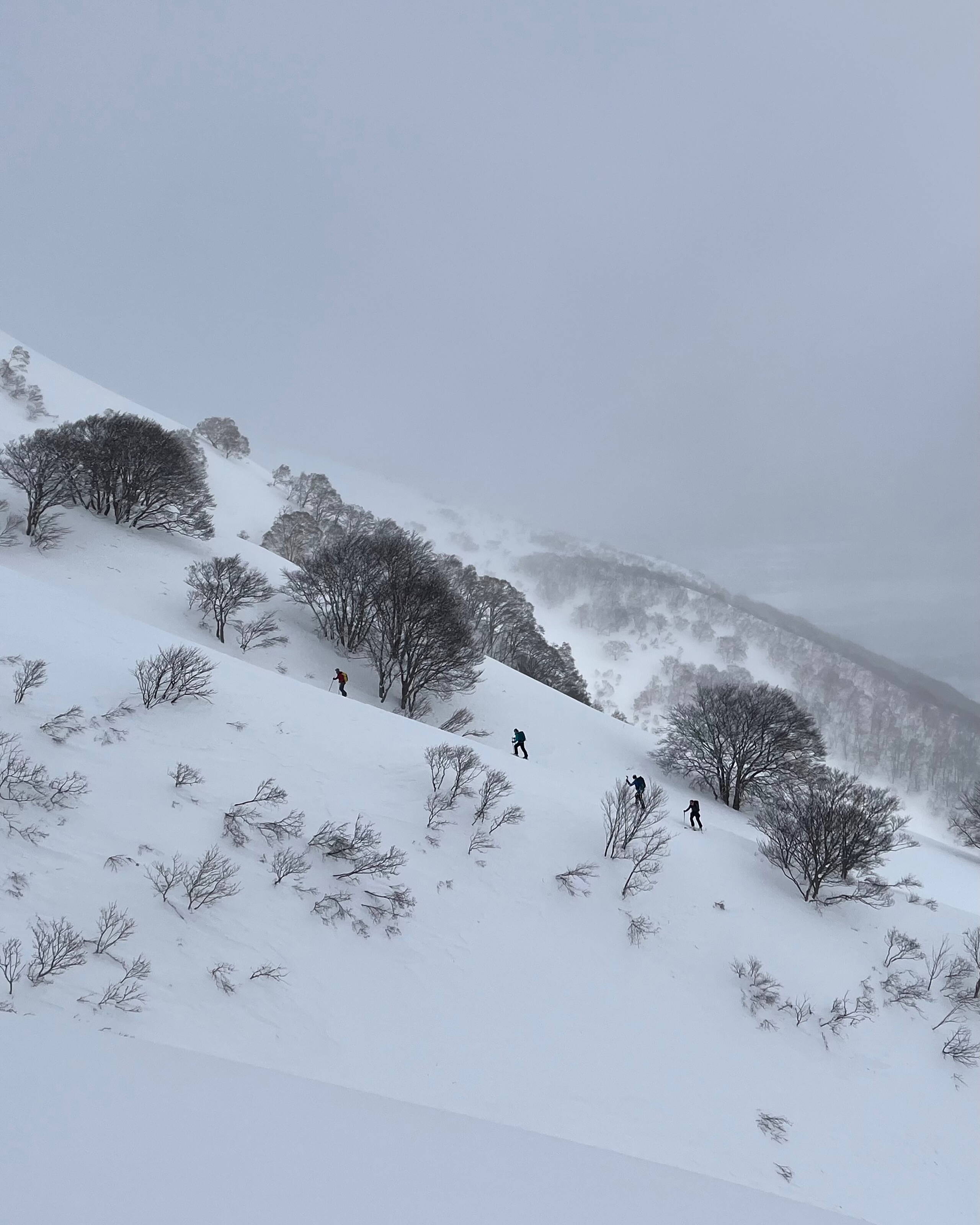 Japan – Skitourenreise Hokkaido Japan – Skitourenreise Hokkaido