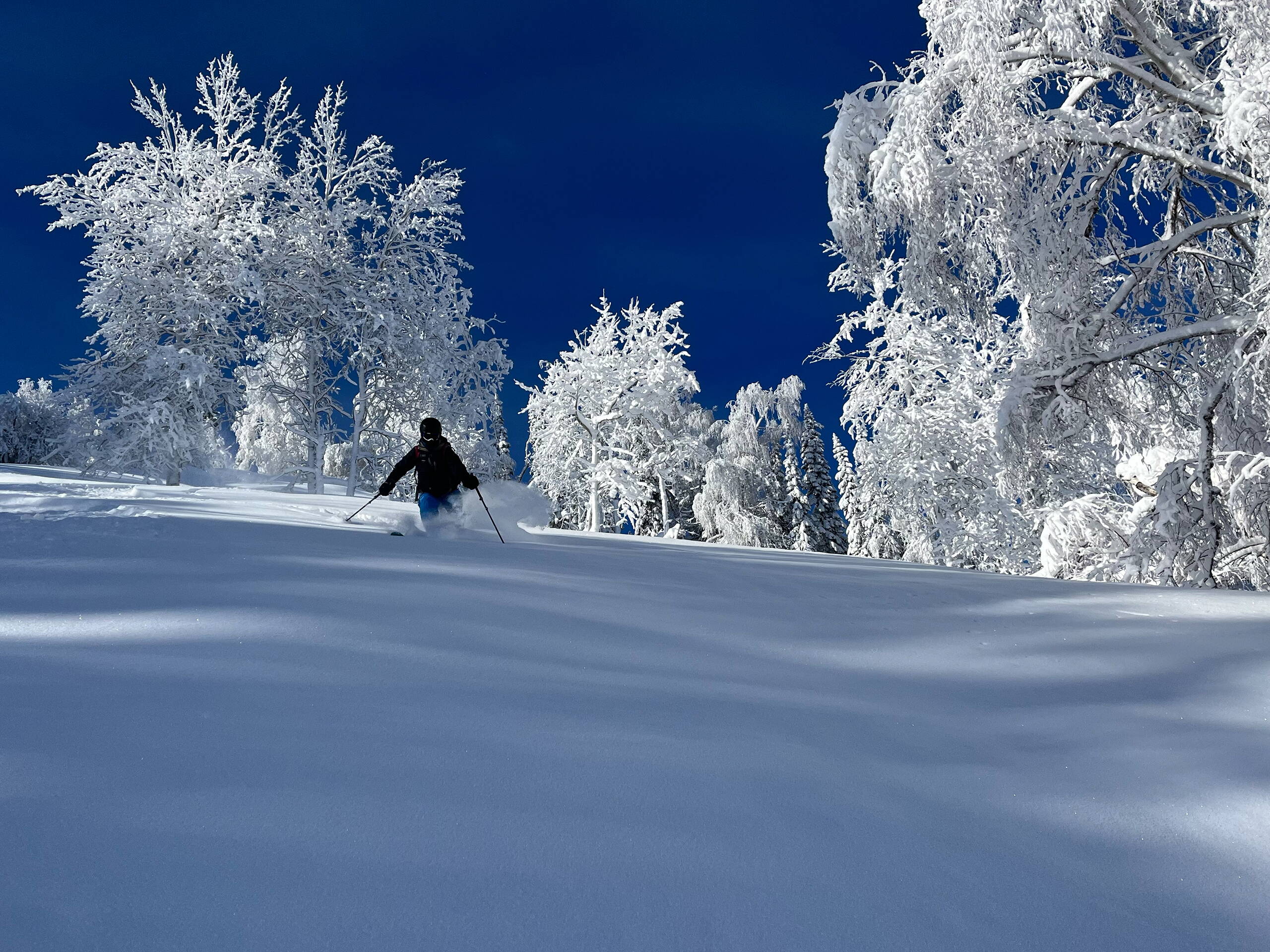 Kasachstan Altay – Sibirian Powder