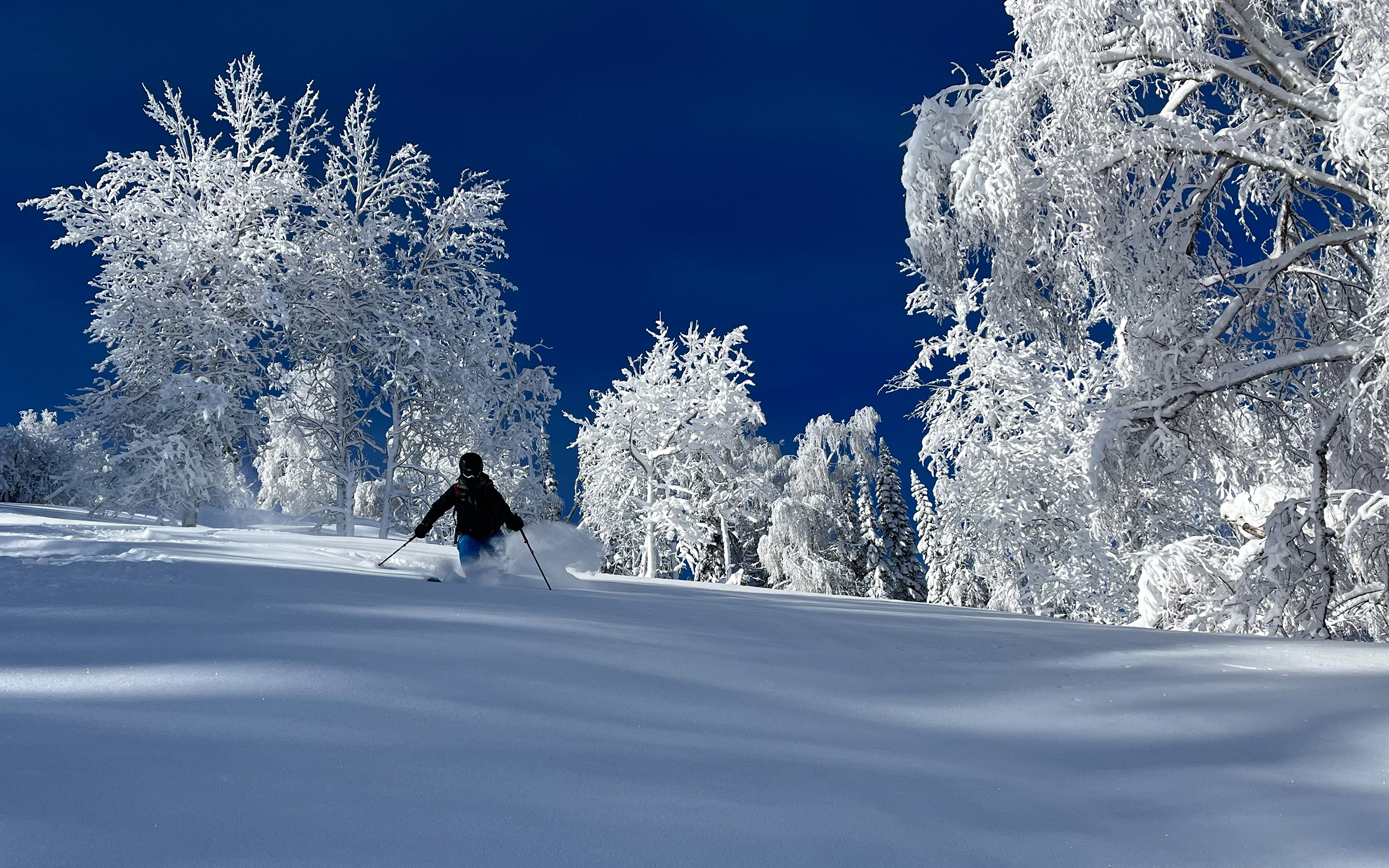 Kasachstan Altay – Sibirian Powder Kasachstan Altay – Sibirian Powder