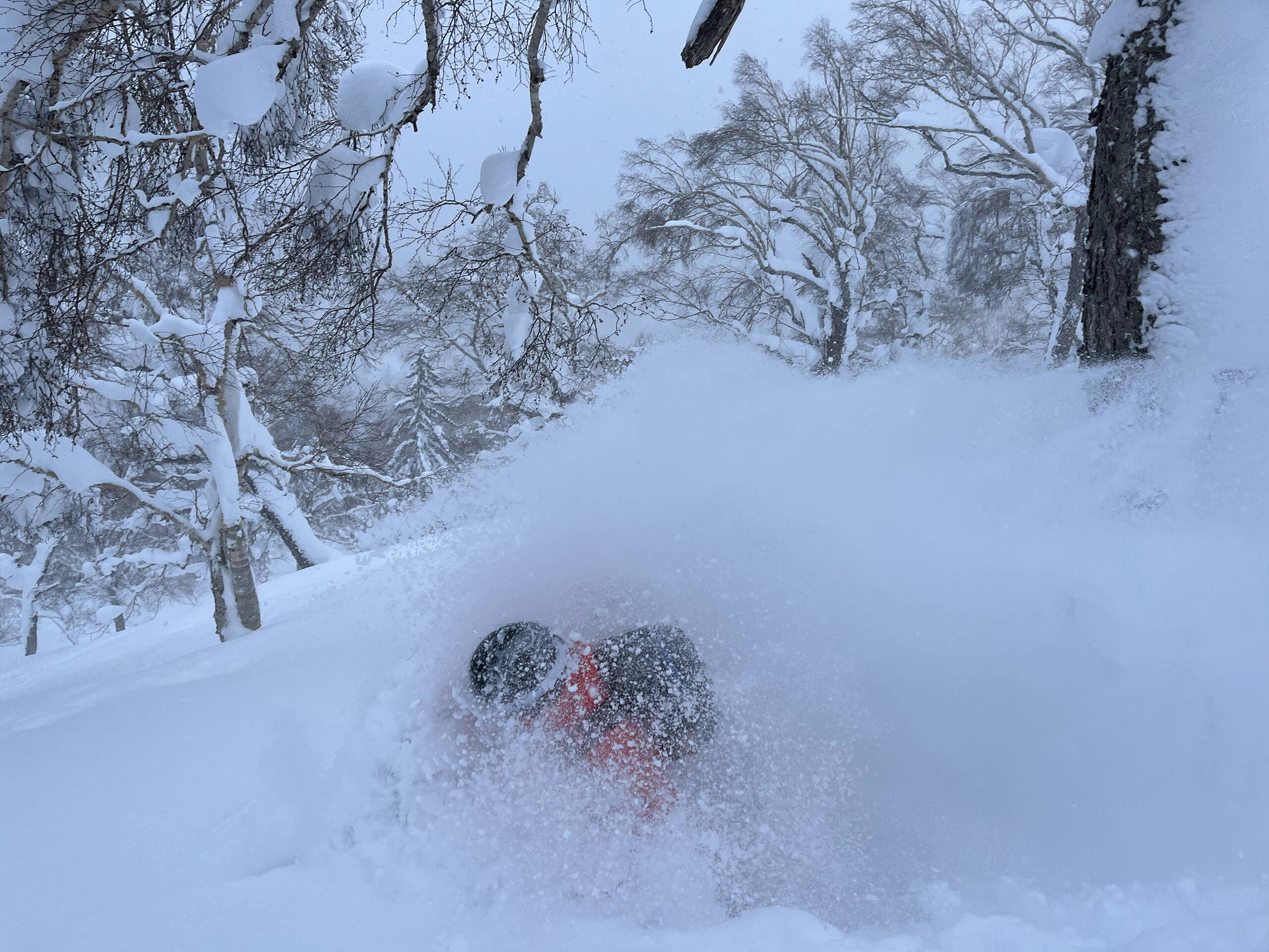 Japan – Skitourenreise Hokkaido