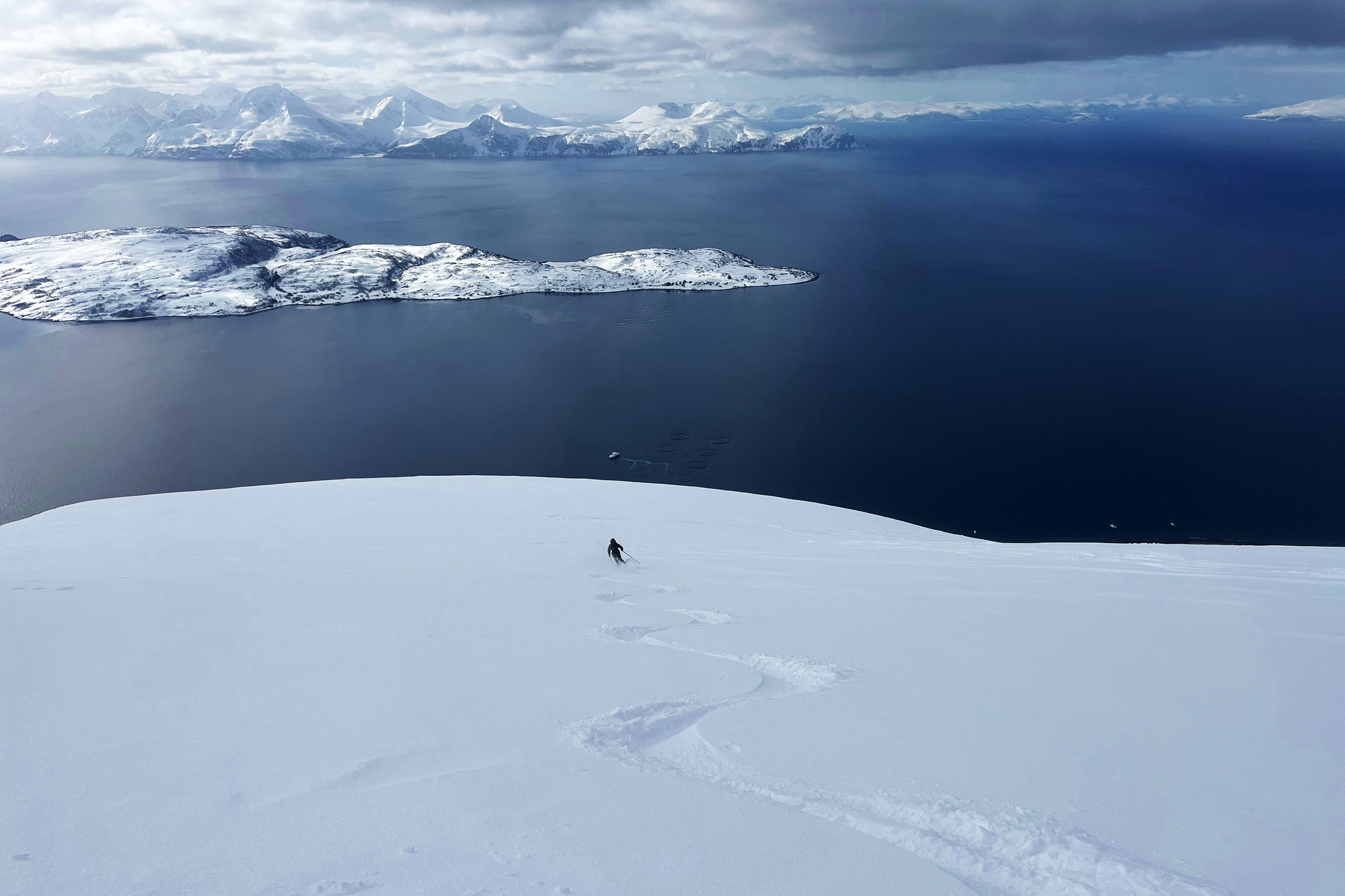 mood-IMG_1652.jpg mood-IMG_1652